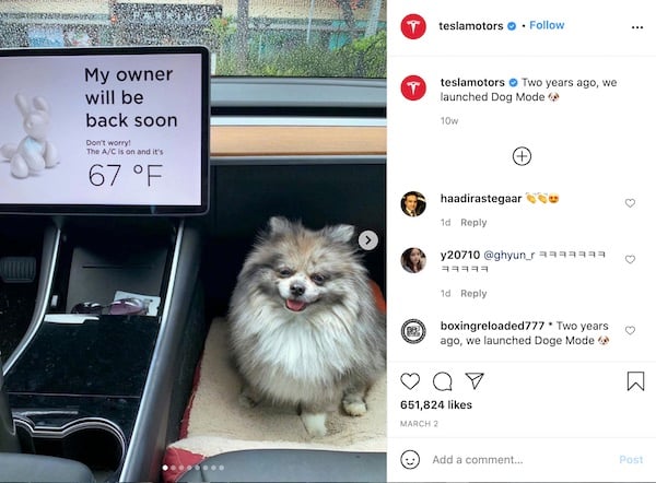 Tesla Dog Mode Instagram Post