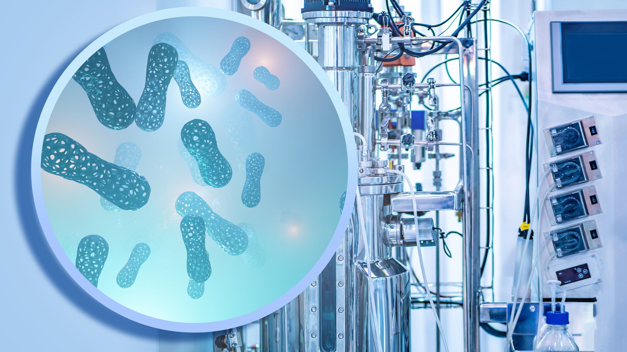 shutterstock_2603261815